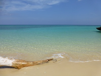 c0227720_14394964.jpg