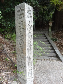 f0000521_20220559.jpg