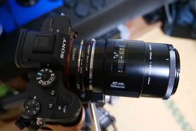 ミノルタαレンズ 100mm f2.8マクロの復活 : セカンド・ライフ