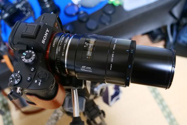 ミノルタαレンズ 100mm f2.8マクロの復活 : セカンド・ライフ