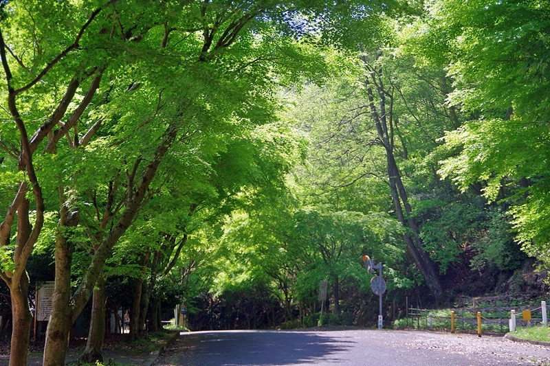 b0312736_19462209.jpg