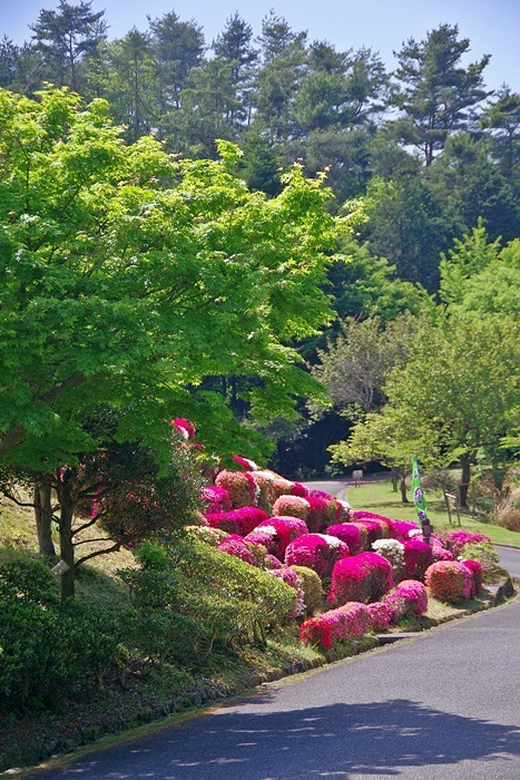 b0312736_19530396.jpg
