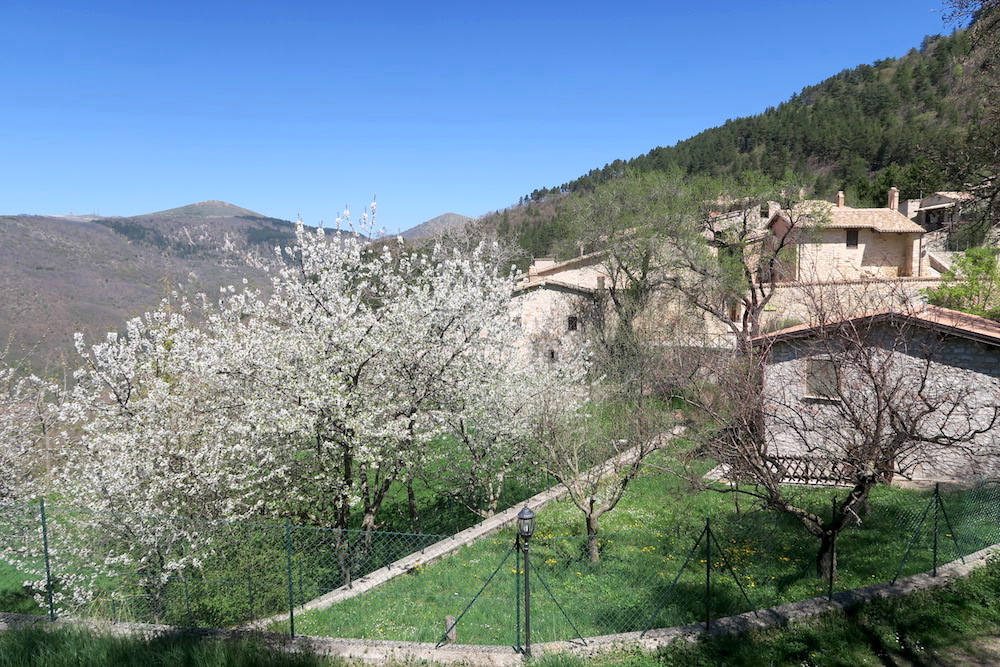 木の花彩る山中の村アーチェラ、ウンブリア_f0234936_5322724.jpg