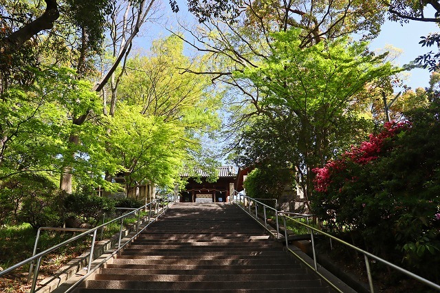 a0242438_16505616.jpg
