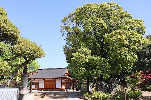 a0242438_16510480.jpg