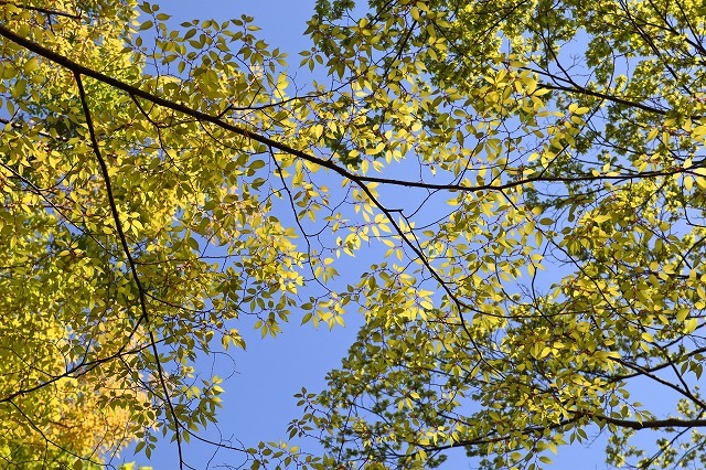 a0242438_16521287.jpg