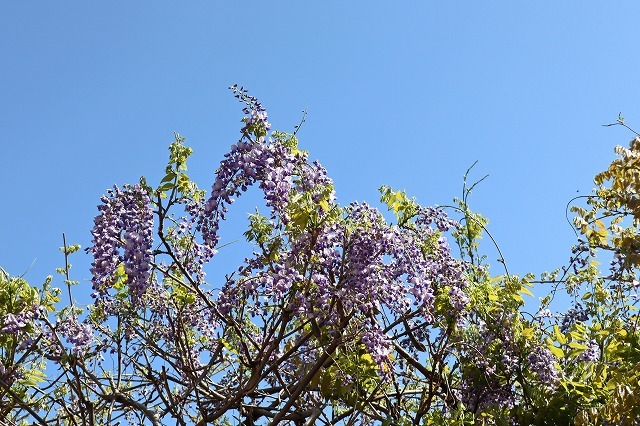a0242438_16532225.jpg
