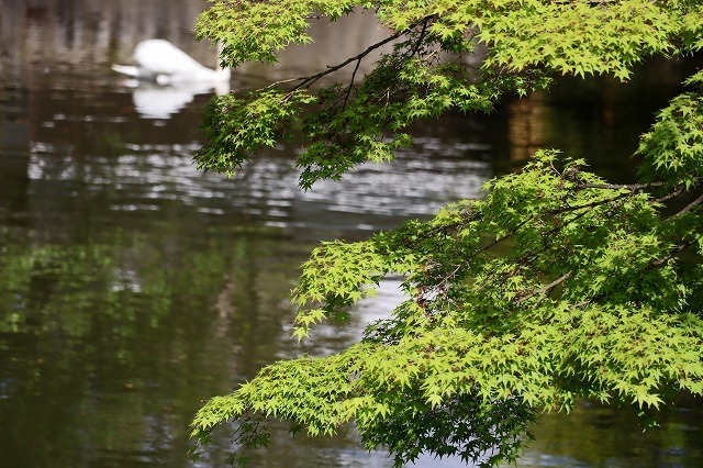 a0242438_16543115.jpg