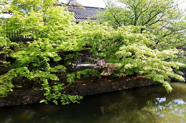 a0242438_16543170.jpg