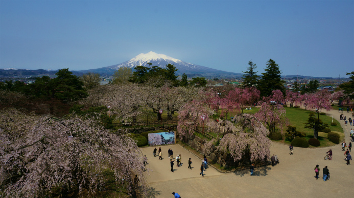 a0274944_20044160.jpg