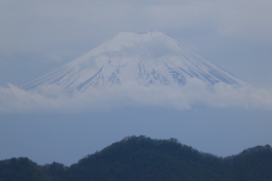 4/27　きょうの富士山_d0288144_14403483.jpg