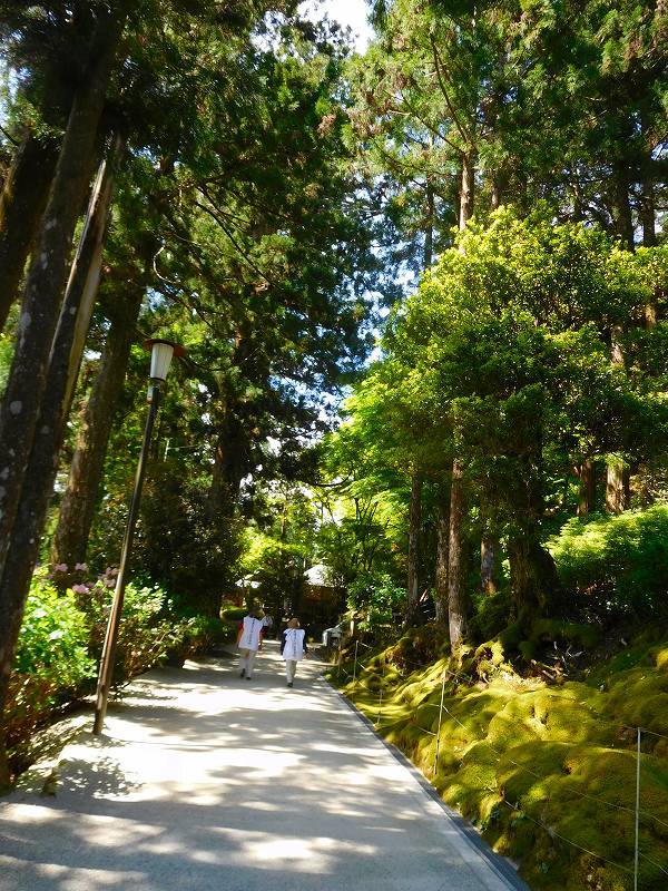 四国八十八ヶ所20番札所「鶴林寺」20170502_e0237645_15554403.jpg
