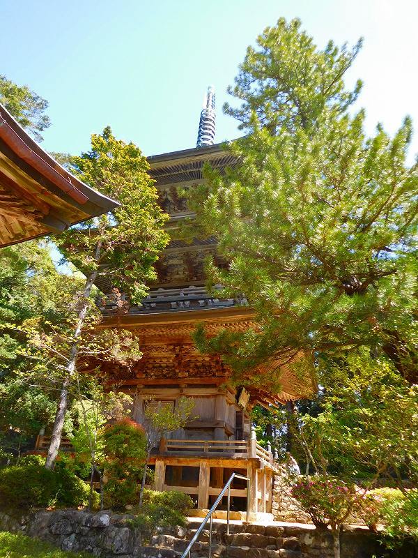 四国八十八ヶ所20番札所「鶴林寺」20170502_e0237645_15554429.jpg