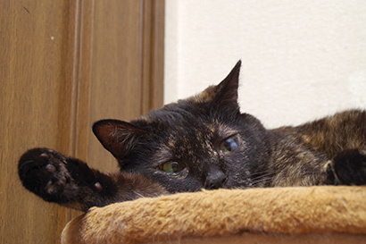 キバ_a0028451_02103984.jpg