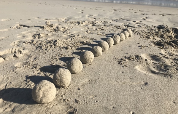 f0304452_18361171.jpeg