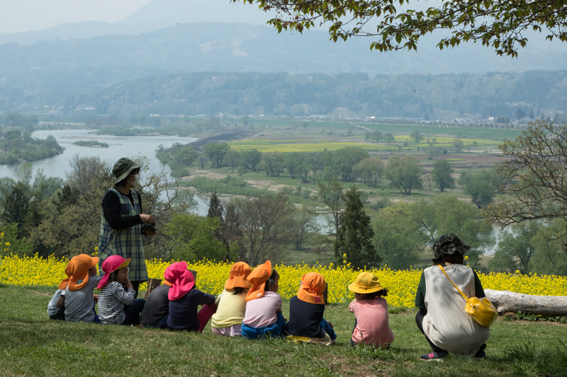 長野県飯山市　菜の花公園_f0370252_6243156.jpg