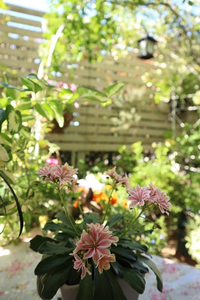 c0178453_21241247.jpg