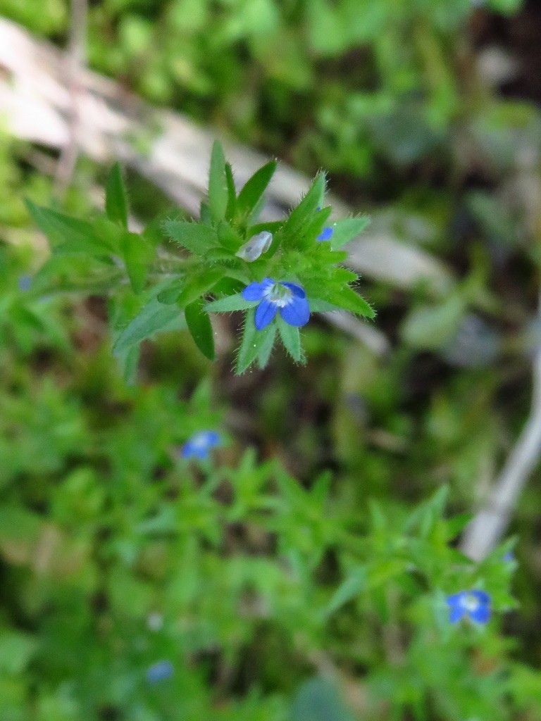 a0018655_09503112.jpg