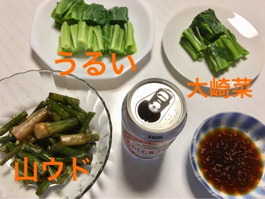 a0346455_11533981.jpeg