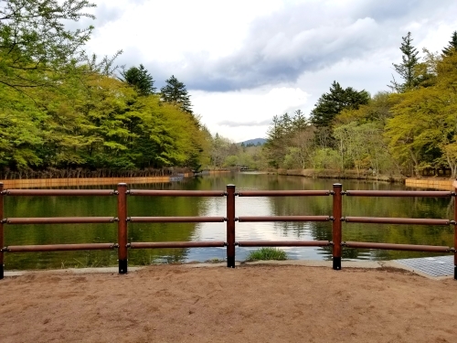 f0236260_15262245.jpg
