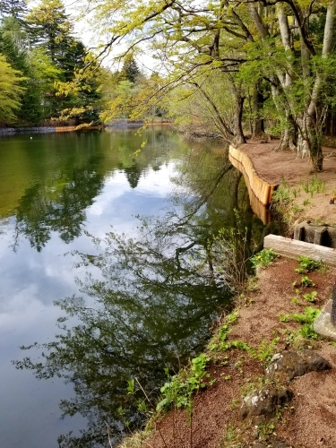 f0236260_15275480.jpg