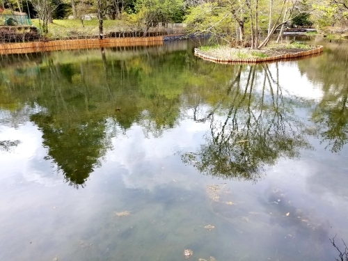 f0236260_15291304.jpg