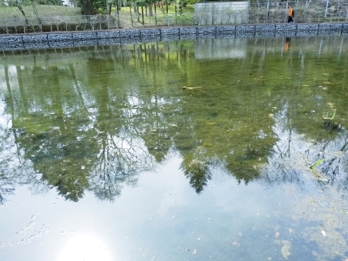 f0236260_15300630.jpg