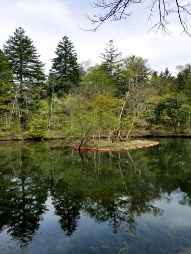 f0236260_15321711.jpg