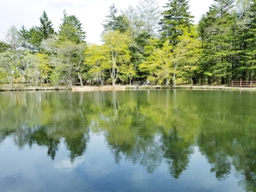 f0236260_15335095.jpg