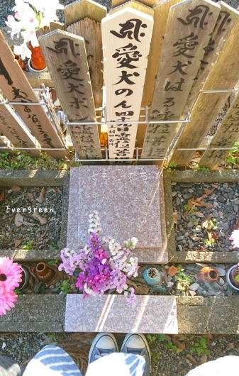 d0362666_21462086.jpg