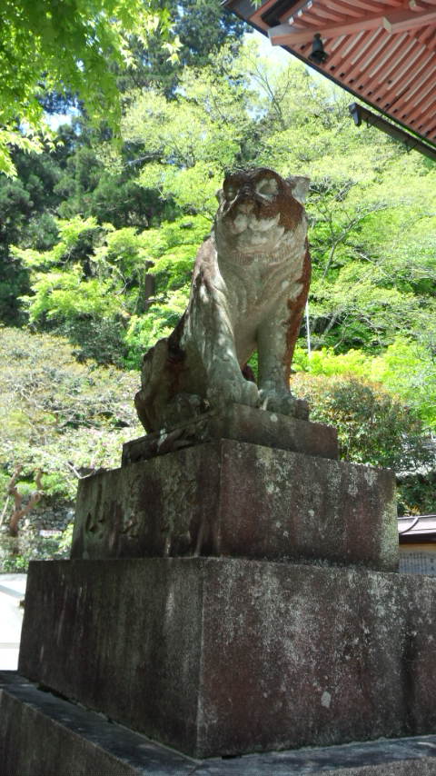 b0018469_1621444.jpg