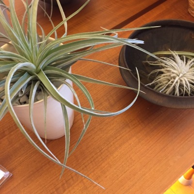 b0341471_22373590.jpeg