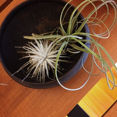 b0341471_22380896.jpeg