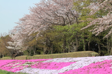 あれから１年。_a0089877_21562657.jpg