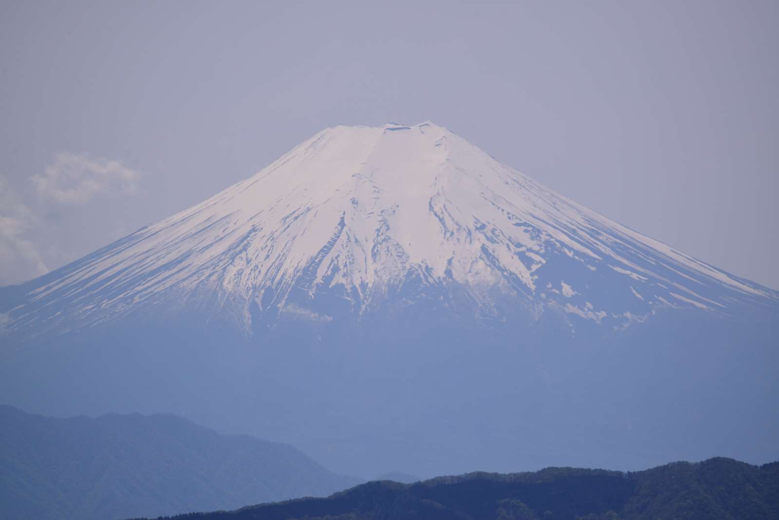 大岳山方面の花_d0328977_22512812.jpg