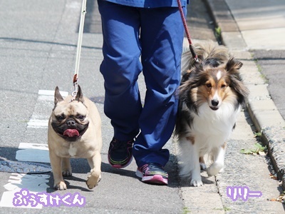 ゴールデンウイーク始まりました(´▽`*)_f0357682_15041548.jpg
