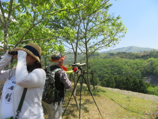 野鳥観察会講師　宮脇先生が下見にご来館くださいました！！_a0166183_14023828.jpg