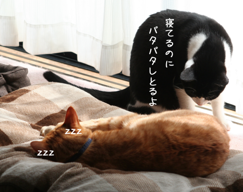 a0216583_20222519.png