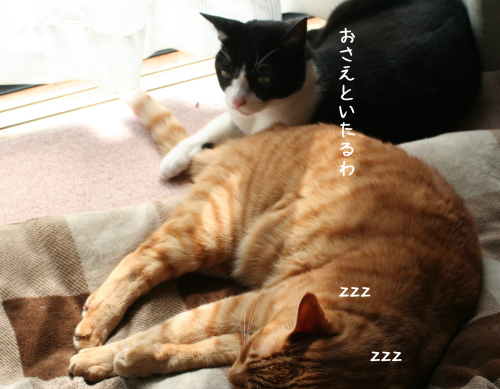 a0216583_20222850.png
