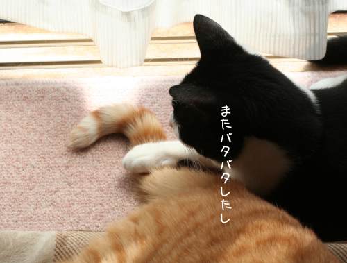 a0216583_20223264.png