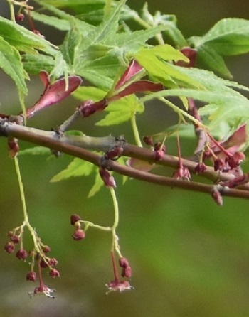 e0366084_09224477.jpg