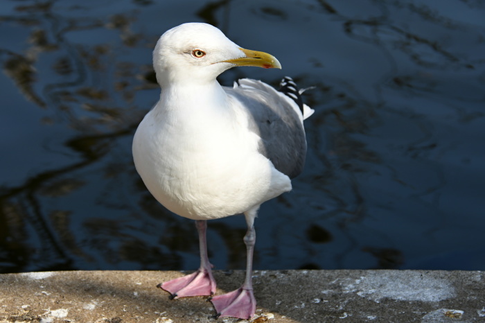 a0127090_16264812.jpg