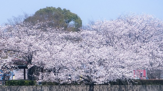 e0176993_06351100.jpg