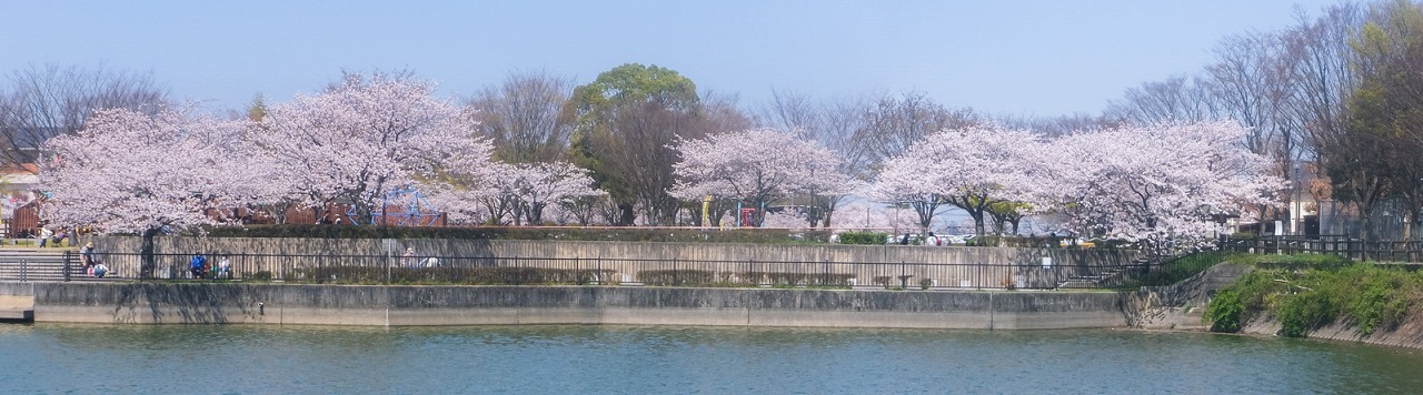 e0176993_06351147.jpg