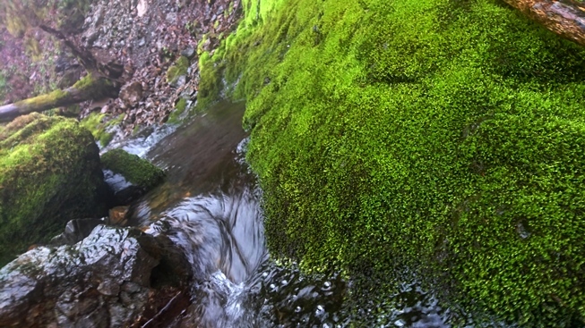 b0192199_14015650.jpg