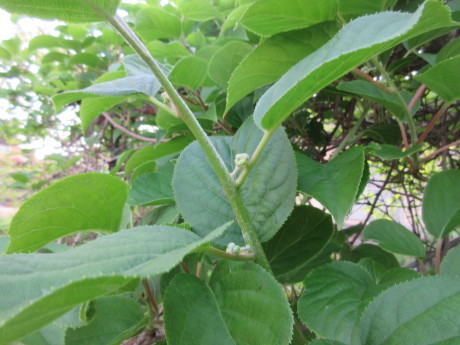 a0203003_19354313.jpg