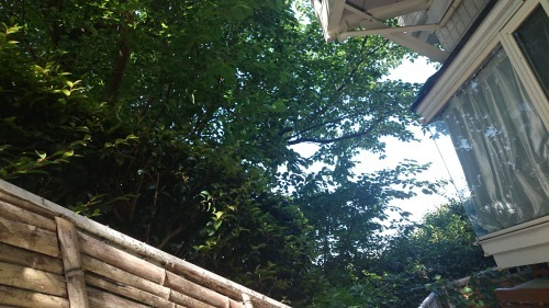 f0079104_07560277.jpg