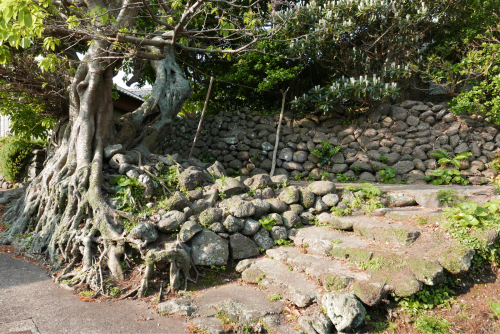 海界の村を歩く 東シナ海 小値賀大島_d0147406_05090729.jpg