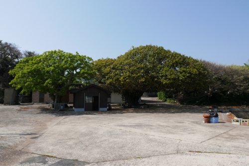 海界の村を歩く 東シナ海 納島_d0147406_20463809.jpg