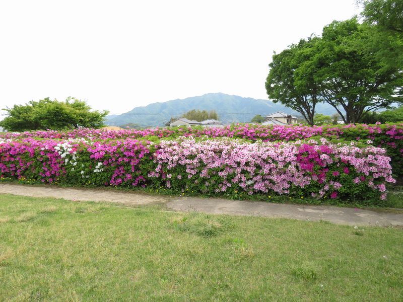 d0065113_10364349.jpg